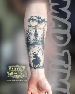 487509072 1466313821165783 7747181696577299362 n