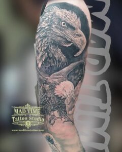 489995654 1469700614160437 8858316247740463894 n