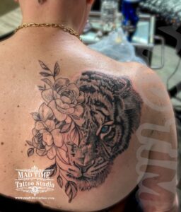 536275774 1585947719202392 5673855429178347396 n