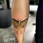 Home new Exquisite neotraditional style tattoo of a vibrant yellow and green moon moth with bold black outlines and ornate wing details, inked on a forearm or calf by Natalie at Mad Time Tattoo.