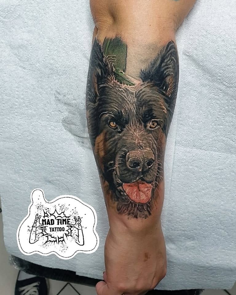 Highly detailed realism pet portrait tattoo of a German Shepherd dog with a happy expression and tongue out, inked on a forearm by Mad Time Tattoo.