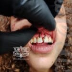 36Professional Piercing Liverpool home new ognialna zagubiona 36 kafelkow rofessional smiley piercing showcase by Mad Time Tattoo Studio, featuring a black titanium circular barbell horseshoe ring precisely placed through a female client's upper lip frenulum.