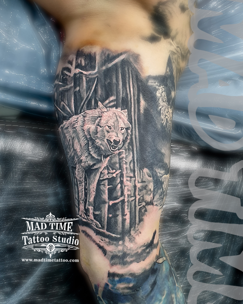 Realistic black and grey wolf tattoo showing a snarling wild timber wolf stepping through a dense pine forest background by Henry at our studio
