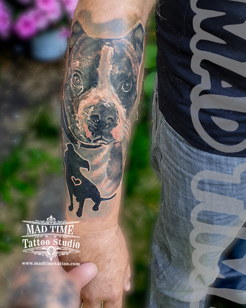 • Memorial dog portrait forearm tattoo in black and grey realism featuring a pitbull mix with a solid black dog silhouette and a small heart outline by Henry at Mad Time Tattoo Studio