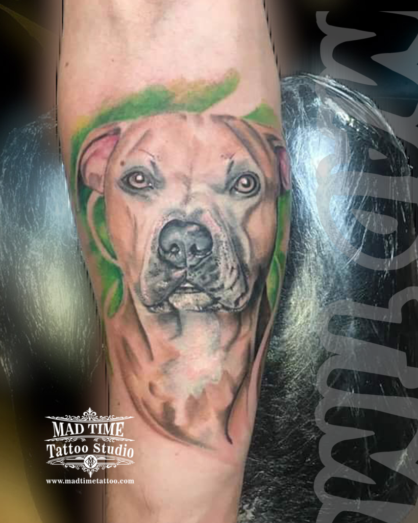 Hyper realistic black and grey dog portrait tattoo of a Pitbull Amstaff with detailed snout wrinkles and a vibrant green watercolor background wash by our studio
